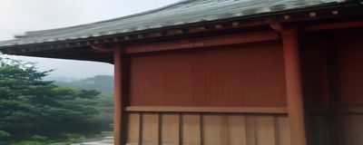 中国祈雨民俗田野调查图片，展示华南地区传统龙王祭祀仪式现场，纪实摄影风格